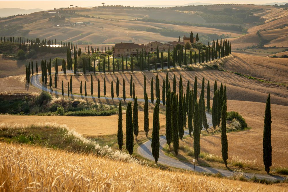 Made In Tuscany